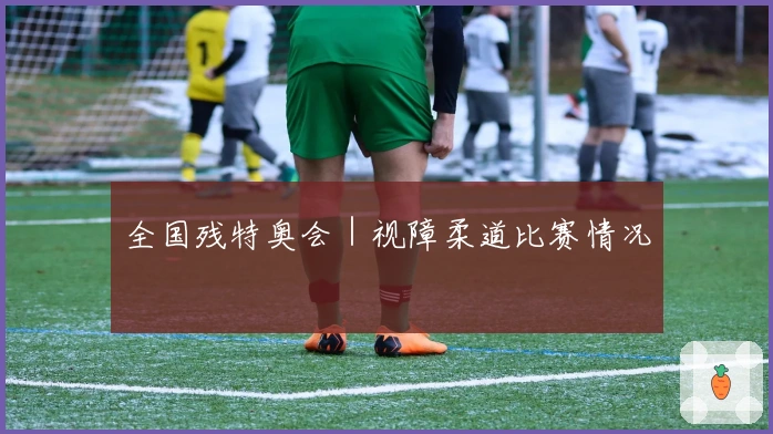 全国残特奥会｜视障柔道比赛情况